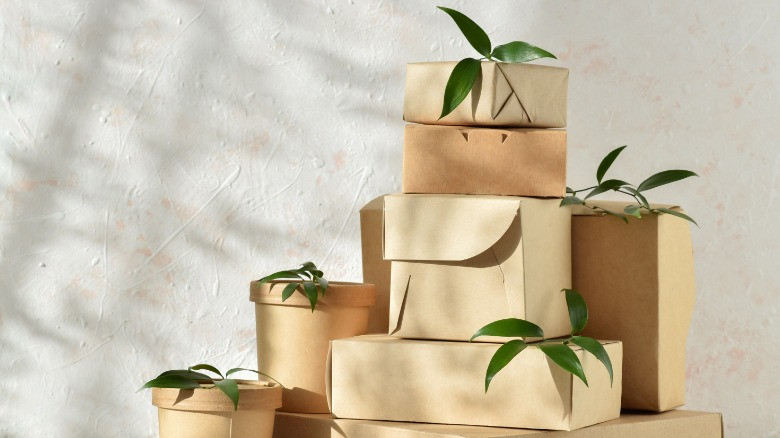 blog-image Tendenze dell’imballaggio sostenibile: gli ultimi sviluppi nell’imballaggio sostenibile